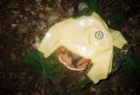 Vorschau: Tank Top Herrensauna Vorschau: Tank Top Herrensauna